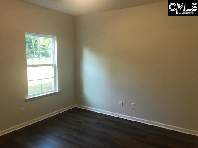 1351 Tamarind Ln, Chapin, SC 29036 - unfurnished room with plenty of natural light and dark wood-style floors