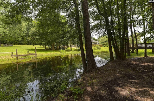 1040 Night Harbor Cir, Chapin, SC 29036 - water view