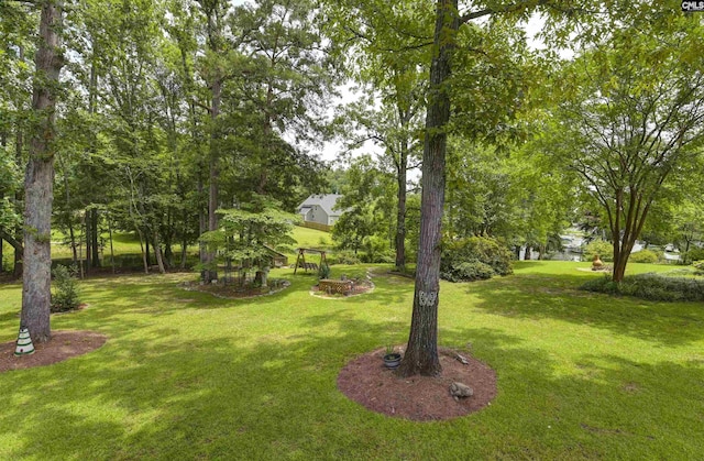 1040 Night Harbor Cir, Chapin, SC 29036 - view of green lawn