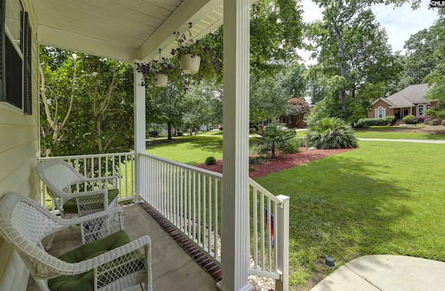 1040 Night Harbor Cir, Chapin, SC 29036 - porch with a lawn