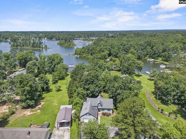 242 Arrow Shores Rd, Chapin, SC 29036 - bird's eye view of a large body of water