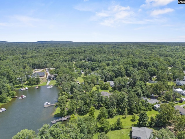 242 Arrow Shores Rd, Chapin, SC 29036 - bird's eye view of a forest and a nearby body of water
