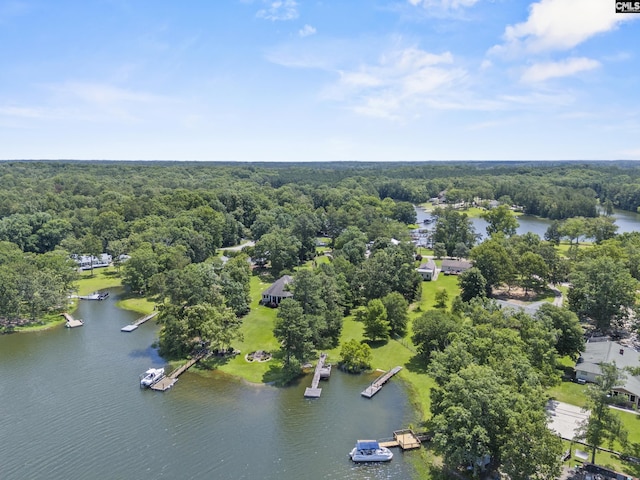 242 Arrow Shores Rd, Chapin, SC 29036 - drone / aerial view of a nearby body of water