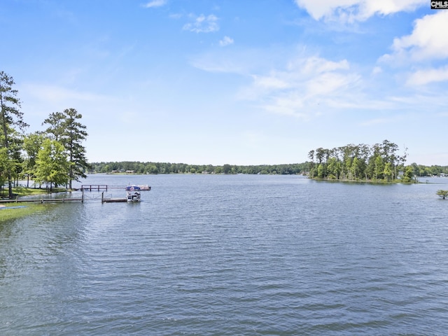 242 Arrow Shores Rd, Chapin, SC 29036 - water view with a boat dock