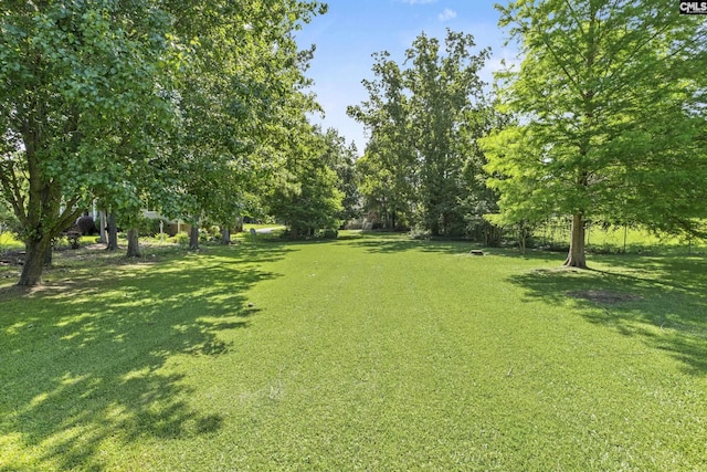 242 Arrow Shores Rd, Chapin, SC 29036 - view of grassy yard