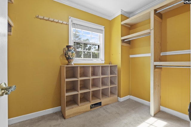 242 Arrow Shores Rd, Chapin, SC 29036 - spacious closet with carpet flooring