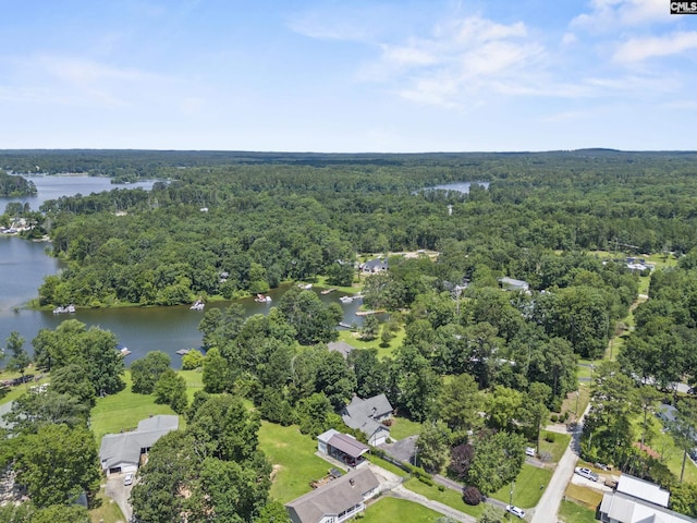 242 Arrow Shores Rd, Chapin, SC 29036 - aerial view of property's location featuring a heavily wooded area and a nearby body of water