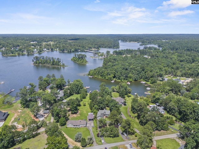 242 Arrow Shores Rd, Chapin, SC 29036 - aerial view of a heavily wooded area and a nearby body of water