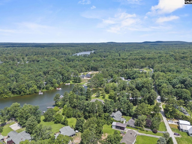 242 Arrow Shores Rd, Chapin, SC 29036 - drone / aerial view of a large body of water