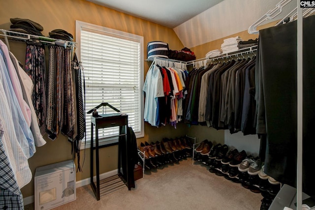 7 Chickasaw Cir, Columbia, SC 29229 - walk in closet with carpet