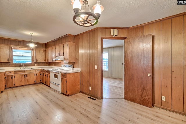 1700 Cermack St, Columbia, SC 29223 - kitchen featuring white range with electric stovetop, under cabinet range hood, light countertops, light wood-style flooring, and healthy amount of natural light