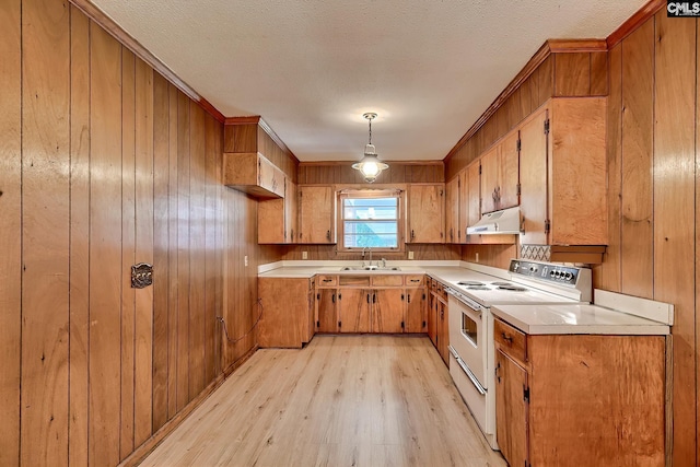 1700 Cermack St, Columbia, SC 29223 - kitchen with electric range, under cabinet range hood, light wood-type flooring, brown cabinetry, and wooden walls