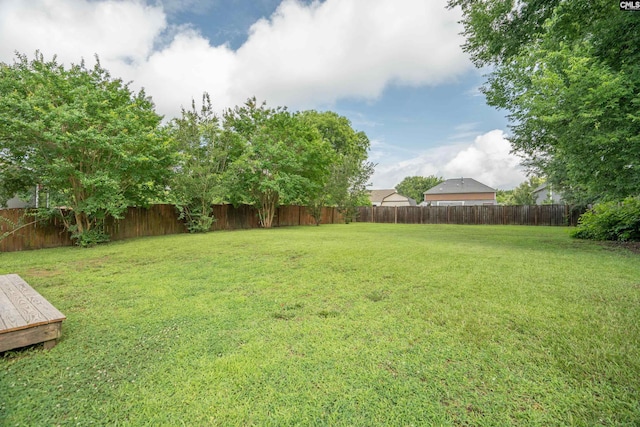 233 Eagle Pointe Dr, Chapin, SC 29036 - view of fenced backyard