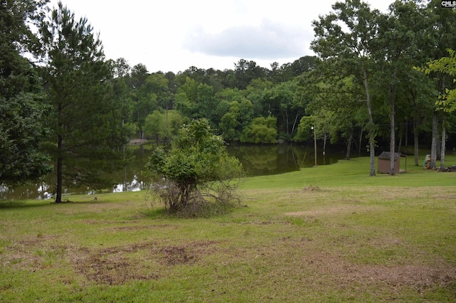 2335 Rolling Hills Rd, Ridgeway, SC 29130