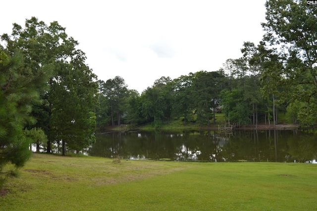 2335 Rolling Hills Rd, Ridgeway, SC 29130