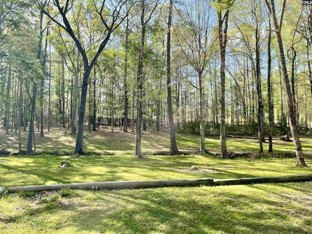 3909 E Peach Rd, Ridgeway, SC 29130 - view of grassy yard featuring a forest view
