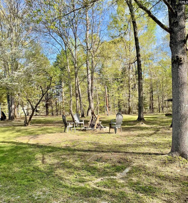 3909 E Peach Rd, Ridgeway, SC 29130 - view of home's community with a yard