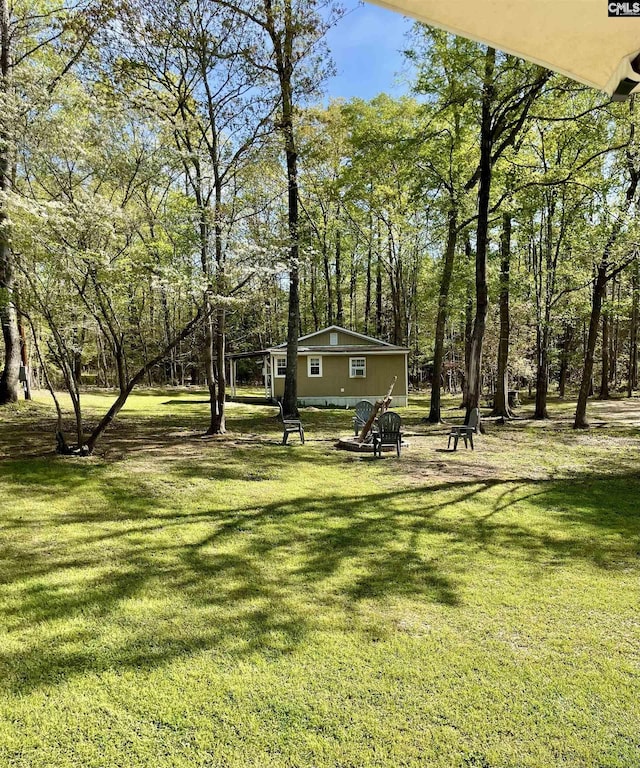 3909 E Peach Rd, Ridgeway, SC 29130 - view of grassy yard
