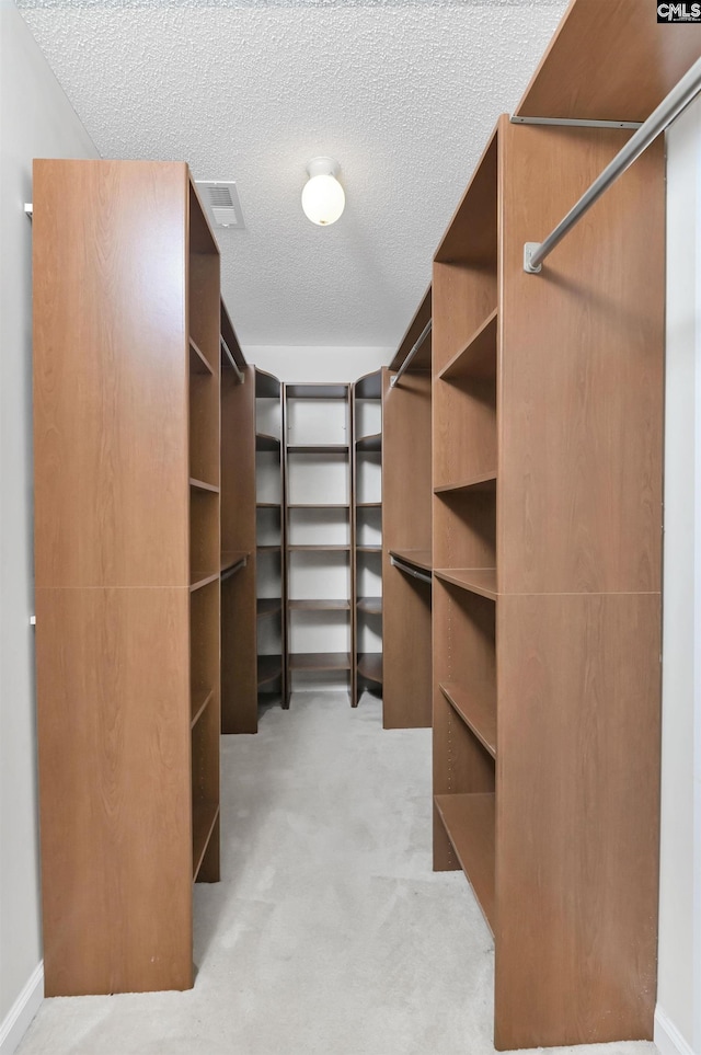 339 Bracken Dr, Lexington, SC 29072 - spacious closet featuring light carpet