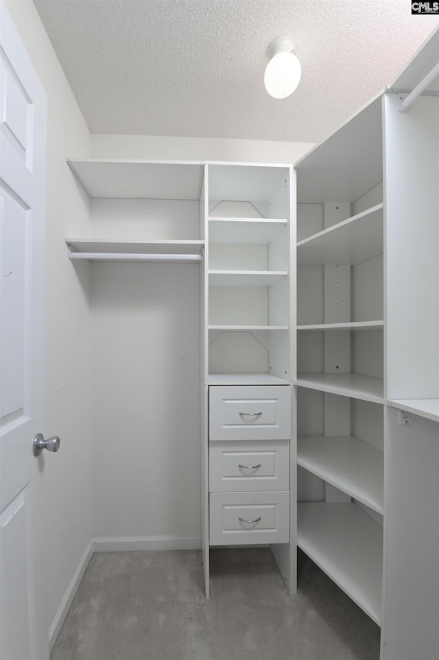 339 Bracken Dr, Lexington, SC 29072 - spacious closet featuring carpet