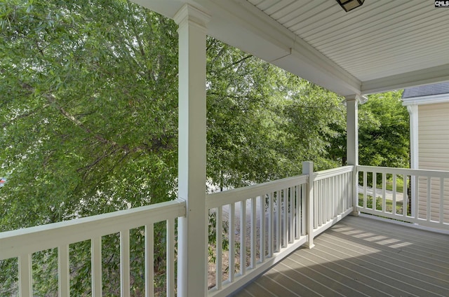 339 Bracken Dr, Lexington, SC 29072 - view of wooden deck