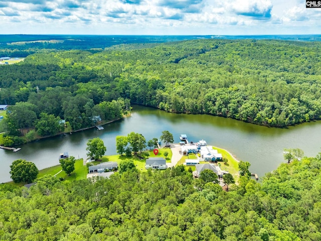 1162 Whippoorwill Rd, Camden, SC 29020 - aerial view of a heavily wooded area and a nearby body of water