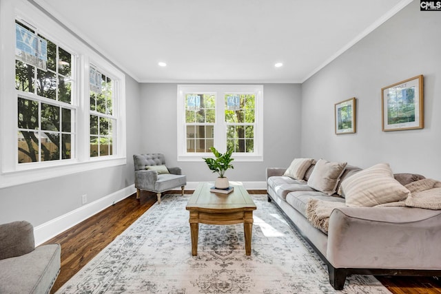 2625 Harrison Rd, Columbia, SC 29204 - living room with ornamental molding, dark wood finished floors, and recessed lighting