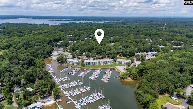 131 Leeward Rd, Columbia, SC 29212 - bird's eye view of a marina and a nearby body of water