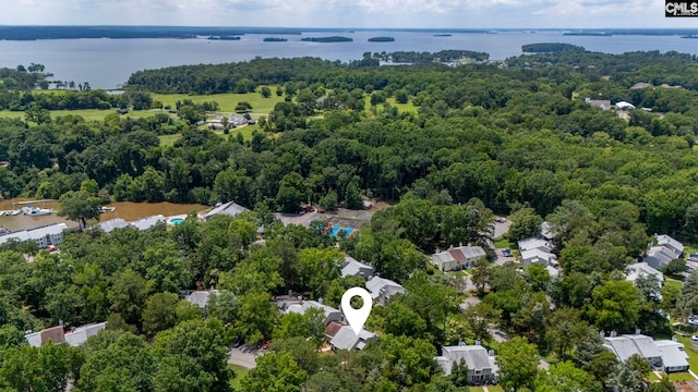 131 Leeward Rd, Columbia, SC 29212 - drone / aerial view of a large body of water and a heavily wooded area