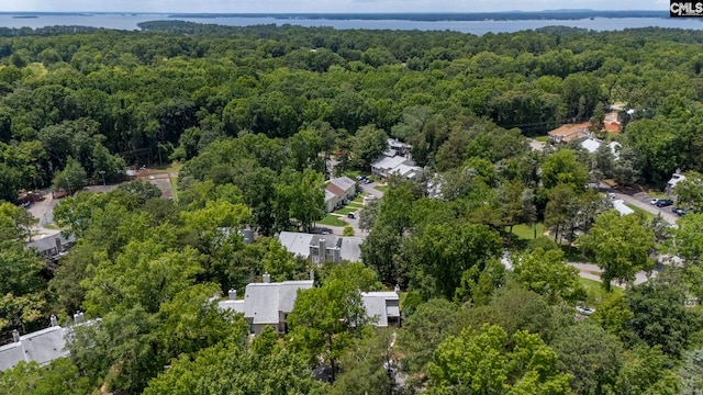 131 Leeward Rd, Columbia, SC 29212 - aerial view of property and surrounding area with a forest and a large body of water