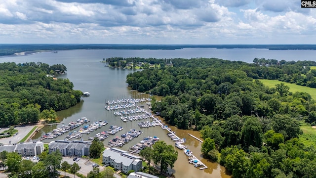 131 Leeward Rd, Columbia, SC 29212 - aerial view of a nearby body of water and numerous boat docks