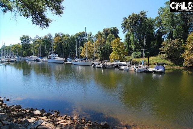 131 Leeward Rd, Columbia, SC 29212 - dock featuring a water view