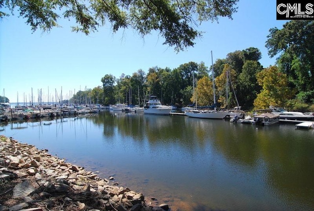 131 Leeward Rd, Columbia, SC 29212 - water view