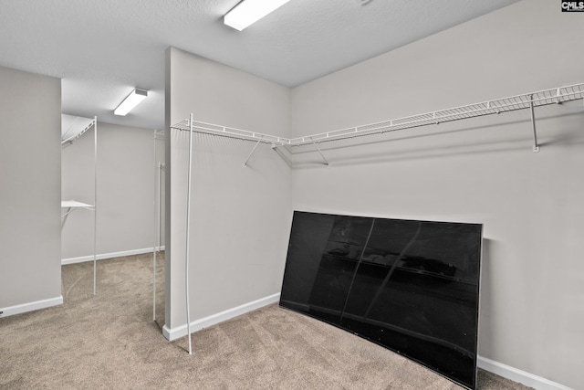 2 Alverston Ct, Irmo, SC 29063 - spacious closet featuring carpet flooring