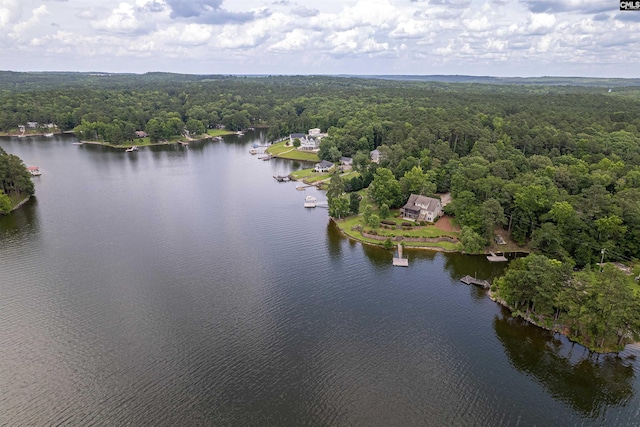 1326 Cedar Cove Rd, Camden, SC 29020 - bird's eye view of a forest and a nearby body of water