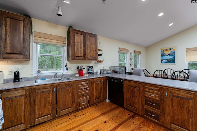 1326 Cedar Cove Rd, Camden, SC 29020 - kitchen with dishwasher, light wood-style flooring, plenty of natural light, vaulted ceiling, and recessed lighting
