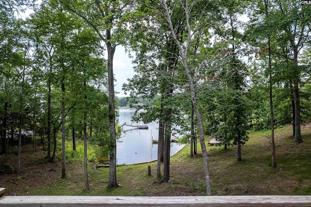 1326 Cedar Cove Rd, Camden, SC 29020 - water view