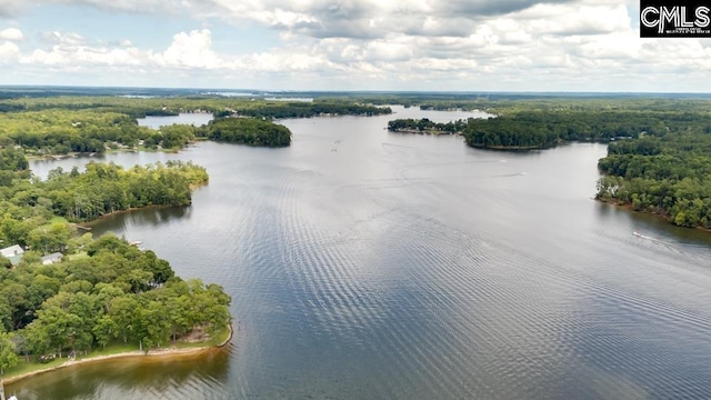 196 Osprey Pointe Ln, Prosperity, SC 29127 - drone / aerial view of a large body of water and a heavily wooded area