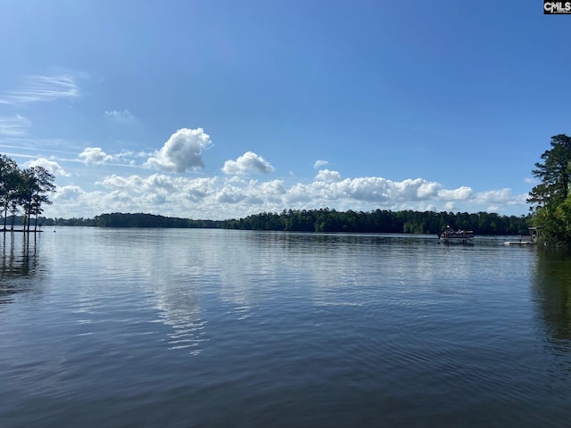 196 Osprey Pointe Ln, Prosperity, SC 29127 - water view