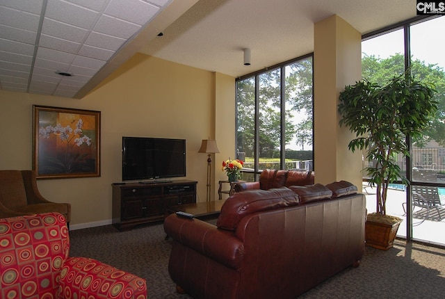 1100 Wheat St Unit 510, Columbia, SC 29201 - living room featuring carpet floors and plenty of natural light