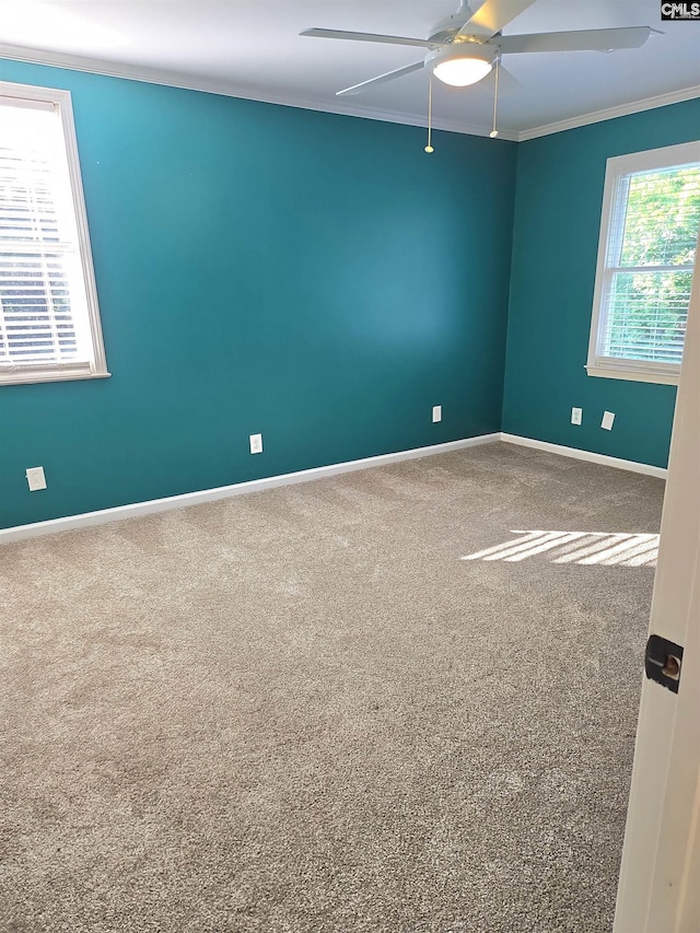 261 Long Rd, Saluda, SC 29138 - unfurnished room with ornamental molding, a ceiling fan, and carpet