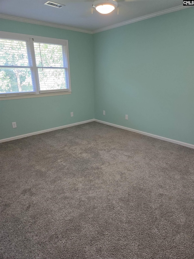 261 Long Rd, Saluda, SC 29138 - carpeted spare room with crown molding and baseboards