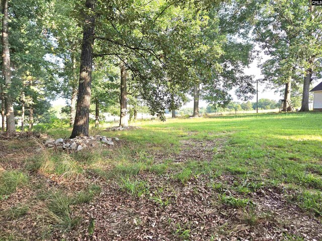 261 Long Rd, Saluda, SC 29138 - view of yard