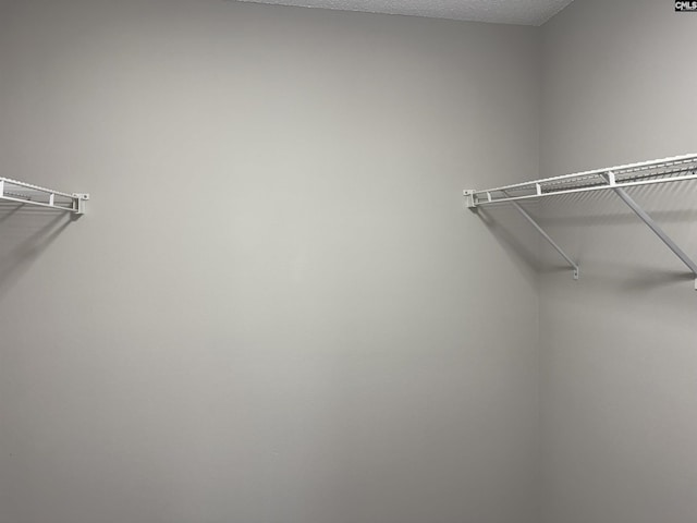220 Sterling Cross Dr, Columbia, SC 29229 - view of walk in closet
