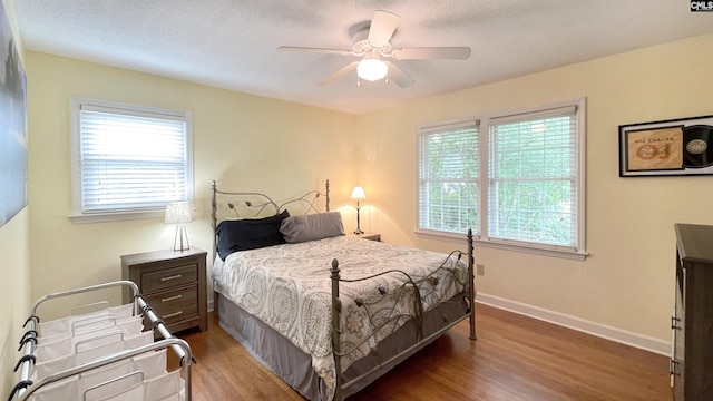 6965 Shelley Rd, Columbia, SC 29209 - bedroom with wood finished floors, multiple windows, a ceiling fan, and a textured ceiling