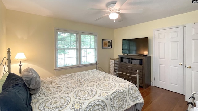 6965 Shelley Rd, Columbia, SC 29209 - bedroom featuring dark wood-style flooring and ceiling fan