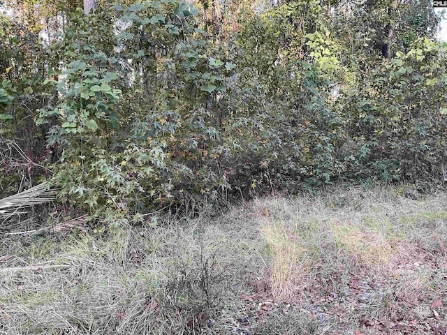 3551 Moonlight Rd, Barnwell, SC 29853