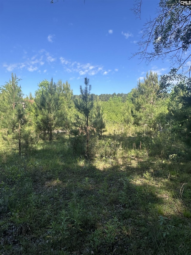 3551 Moonlight Rd, Barnwell, SC 29853