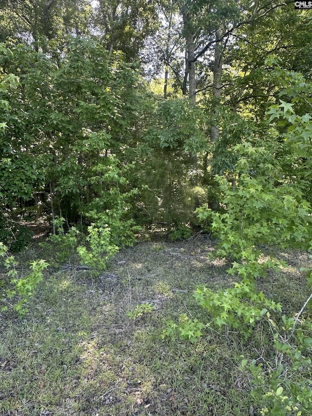3551 Moonlight Rd, Barnwell, SC 29853