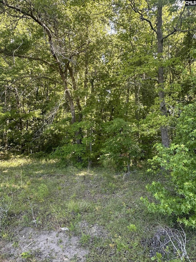 3551 Moonlight Rd, Barnwell, SC 29853